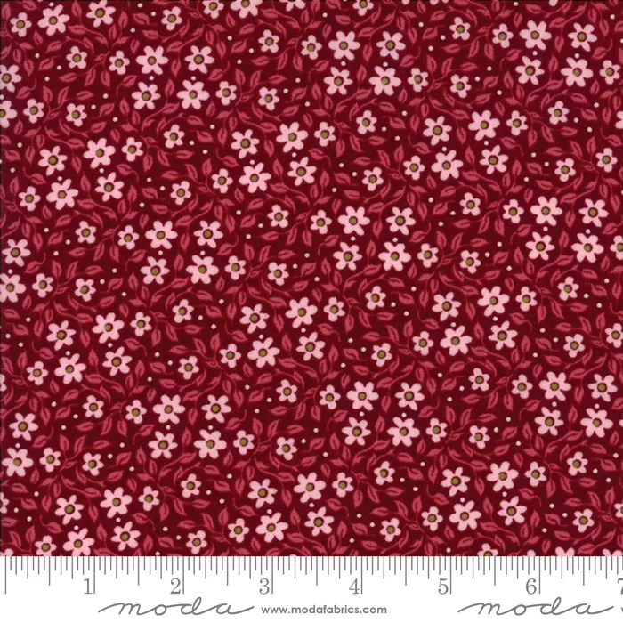 30582 16 Nova Wild Ginger