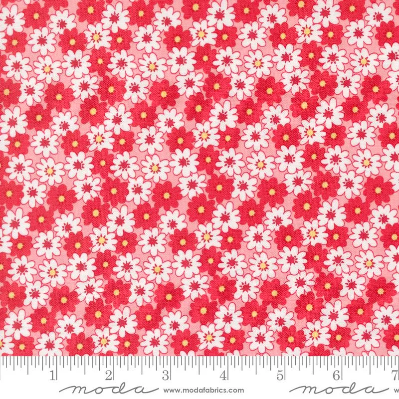 30s Playtime Scarlet