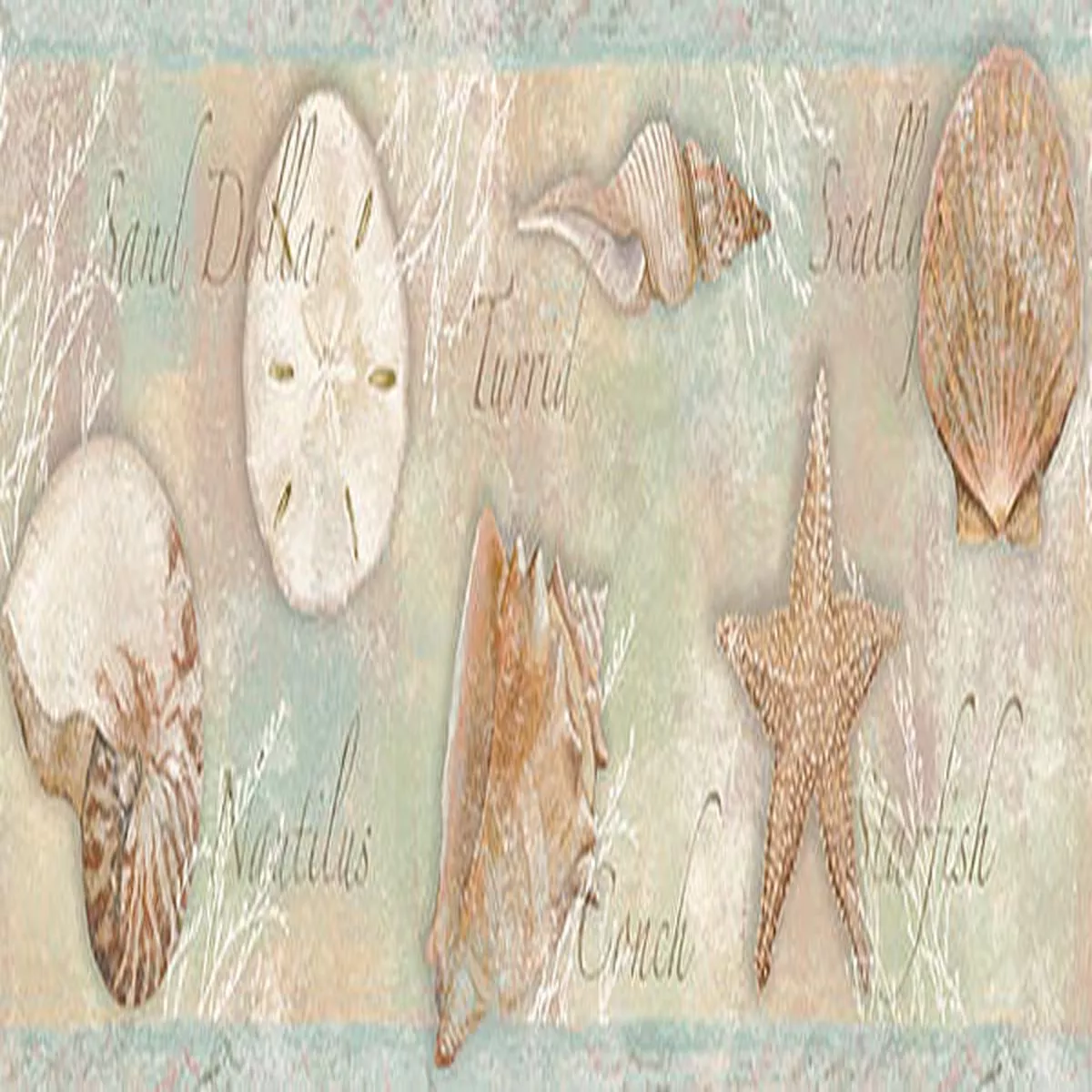 3120-46051B Quinten Brown Shells Border
