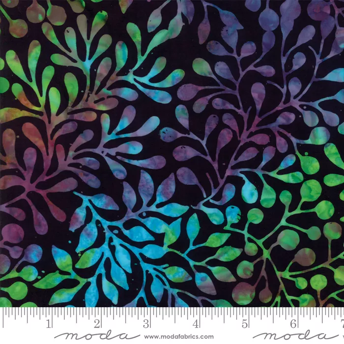 4348 38 Carnival Midnight