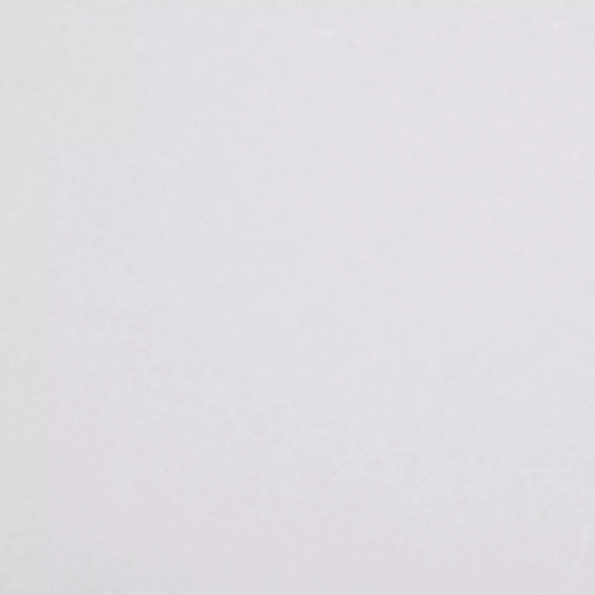 437-rd5000-papyrus-paintable-armadillo 437-RD5000 Papyrus Paintable Armadillo