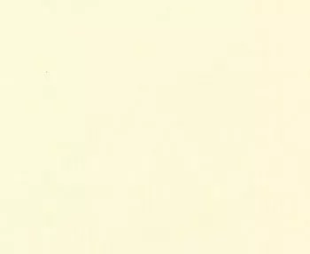 9900 11 Bella Solids Snow