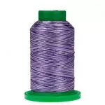 9921 Grape Crush Isacord Thread Variegated 1000m