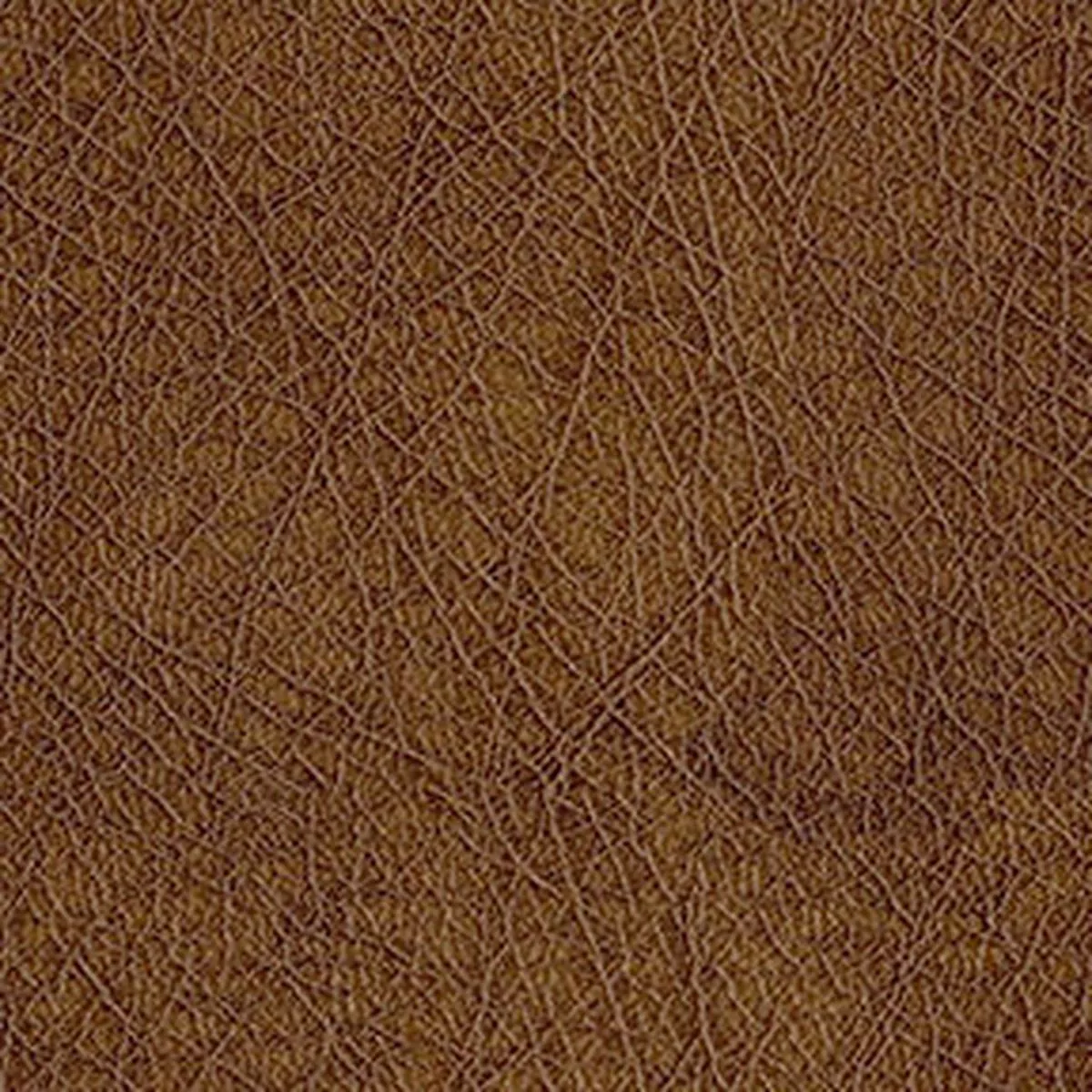 Abilene 8009 Amber Fabric