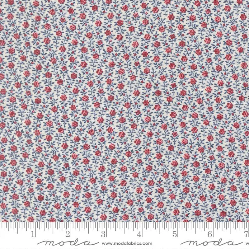 American Gath III Cloud 49326 11 Moda #1