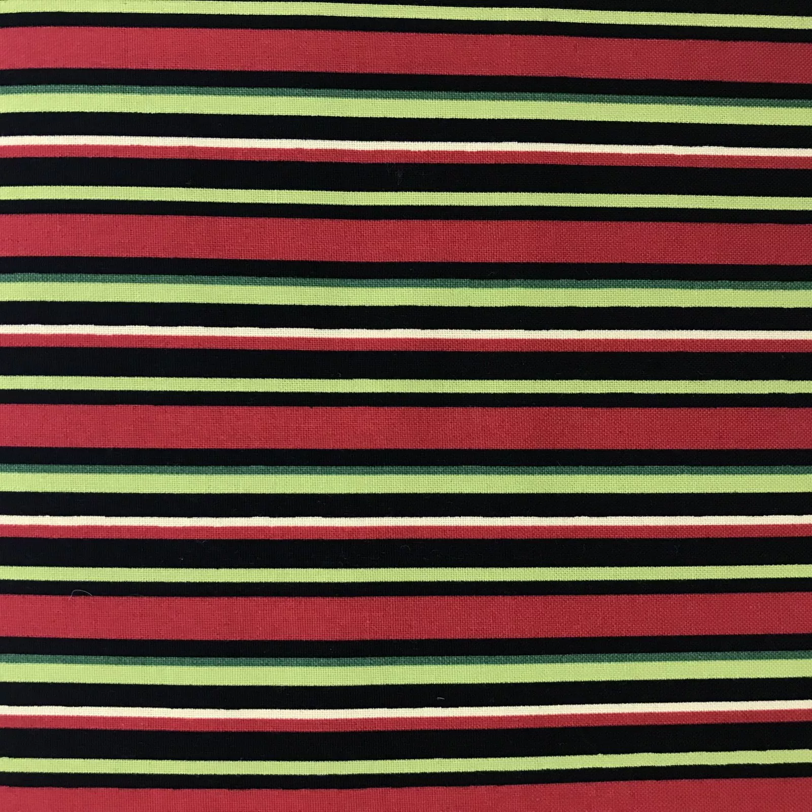 Apples To Apples Stripe by Blank Quilting BTR6047 MULTI