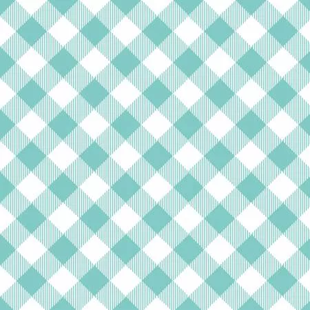 Aqua/White Bias 1/2in Check