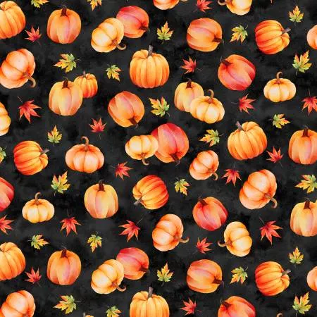 autumn-light-pumpkins-on-black Autumn Light- Pumpkins on Black