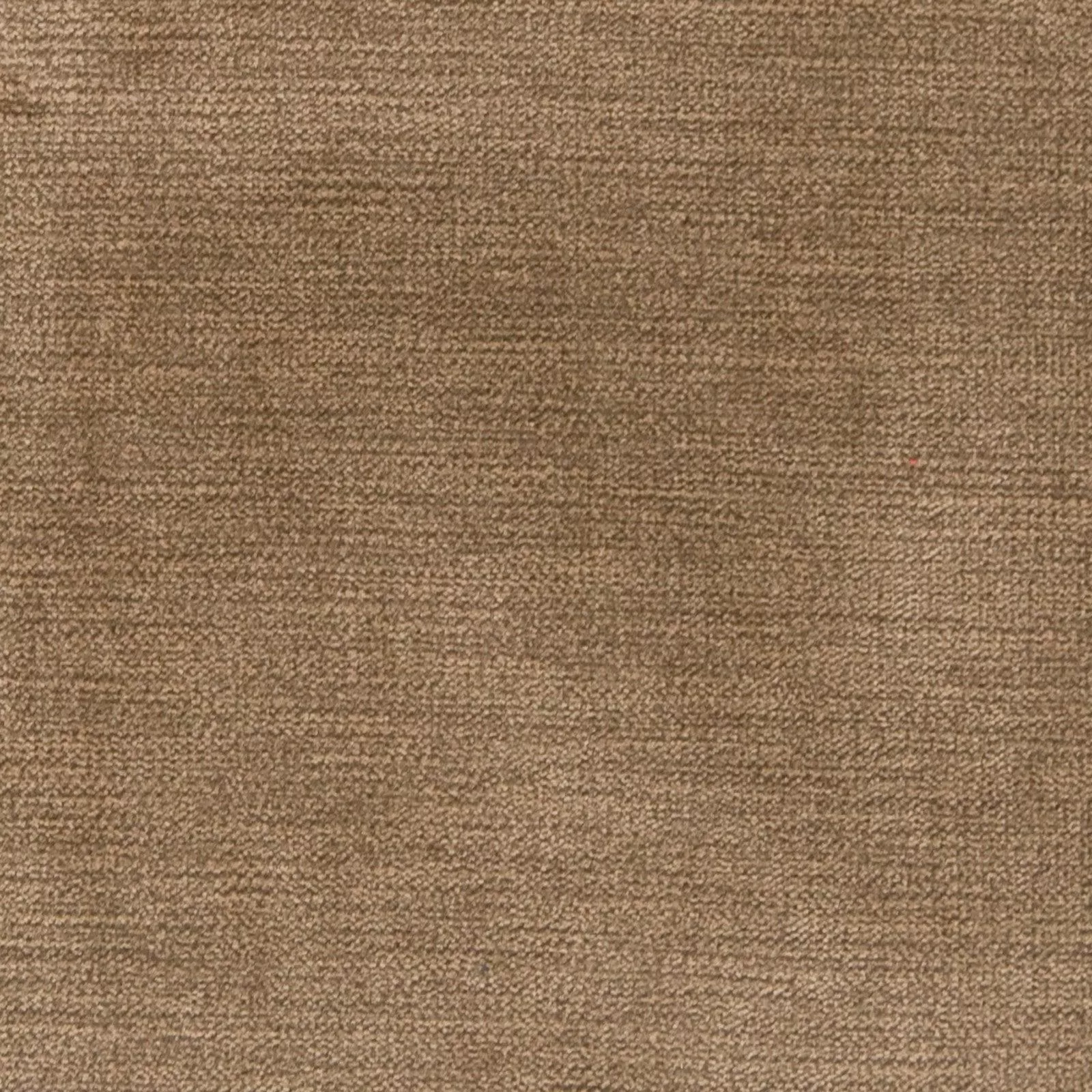 b1259 B1259