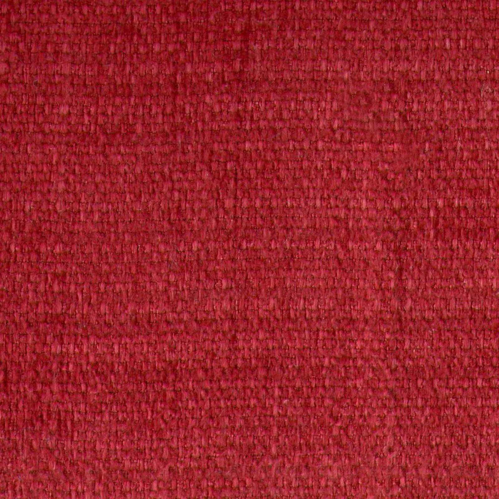 b9613-cabernet B9613 Cabernet