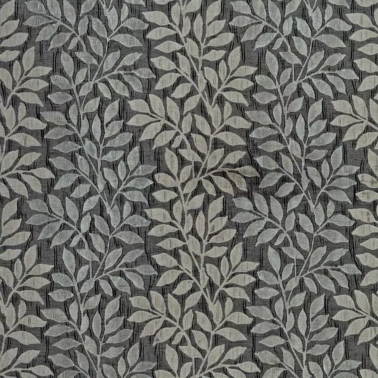 badessi-thunder-limited-stock Badessi Thunder - Limited Stock