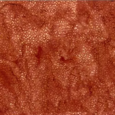 Bali Dots Batik PECAN 885H-573