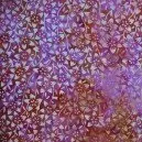 Batik by Marah