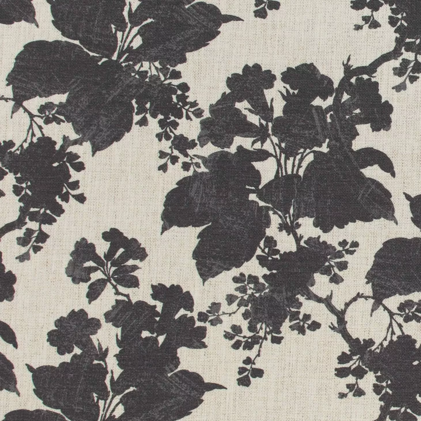 bayland-ebony Bayland-Ebony
