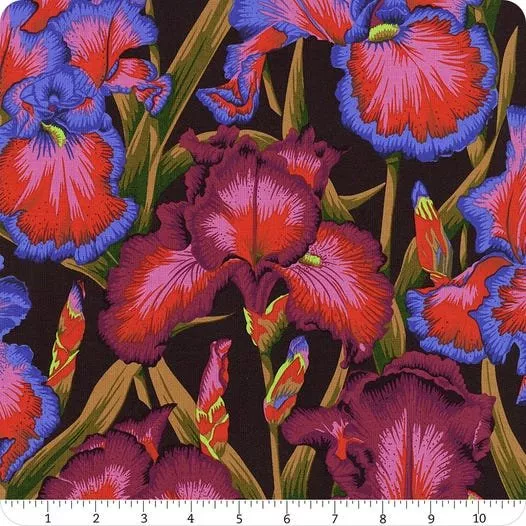 Bearded Iris- Dark PWPJ105.DARK
