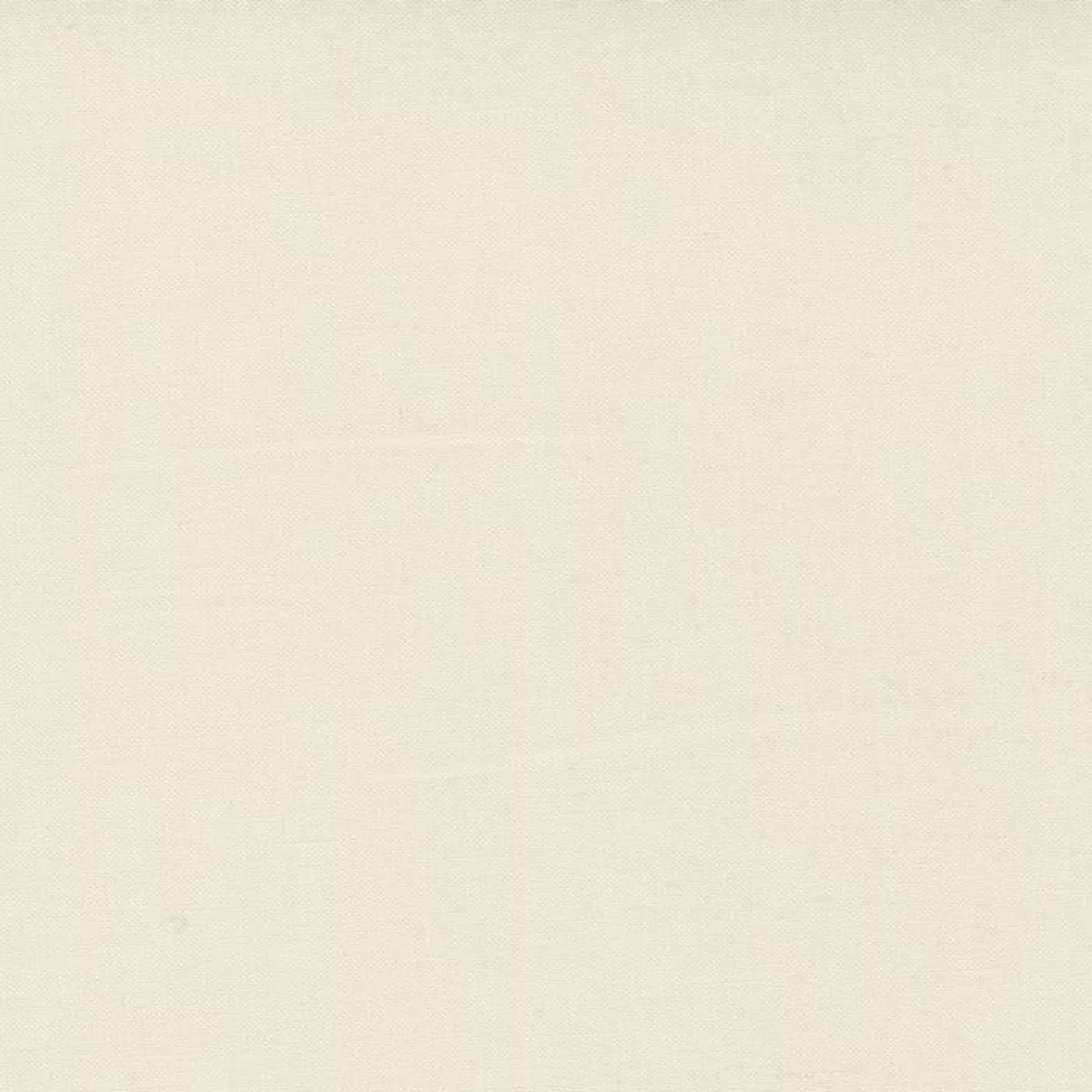Bella Solid : EGGSHELL 281