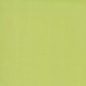 Bella Solid Pistachio 9900 134
