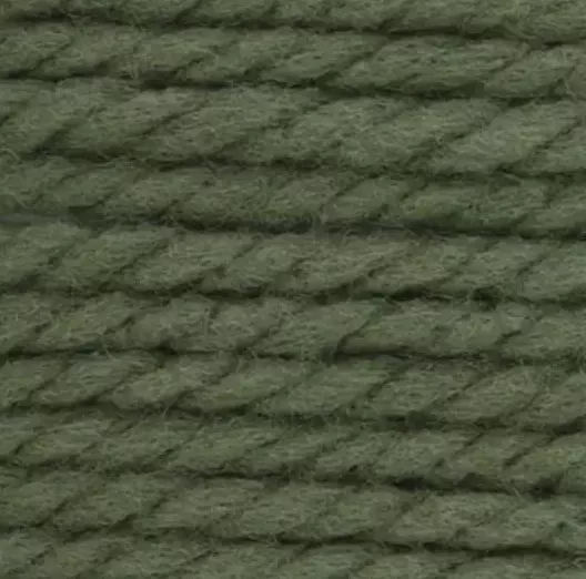 Bernat Softee Chunky Forest 28243