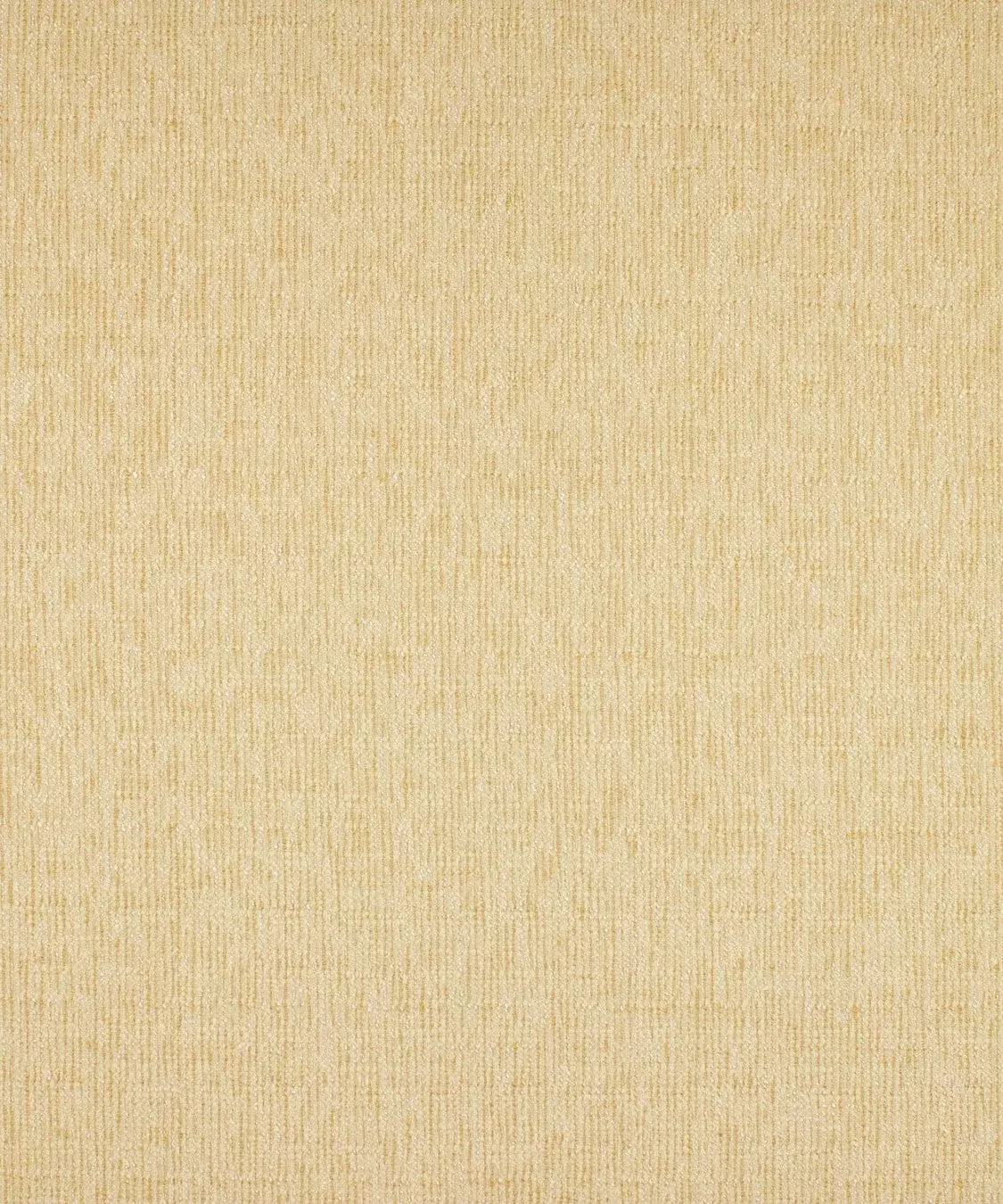 BLOUNT BAY PARCHMENT