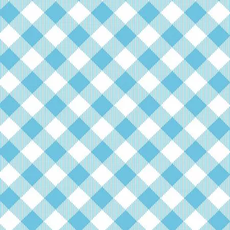 Blue/White Bias Buffalo Check