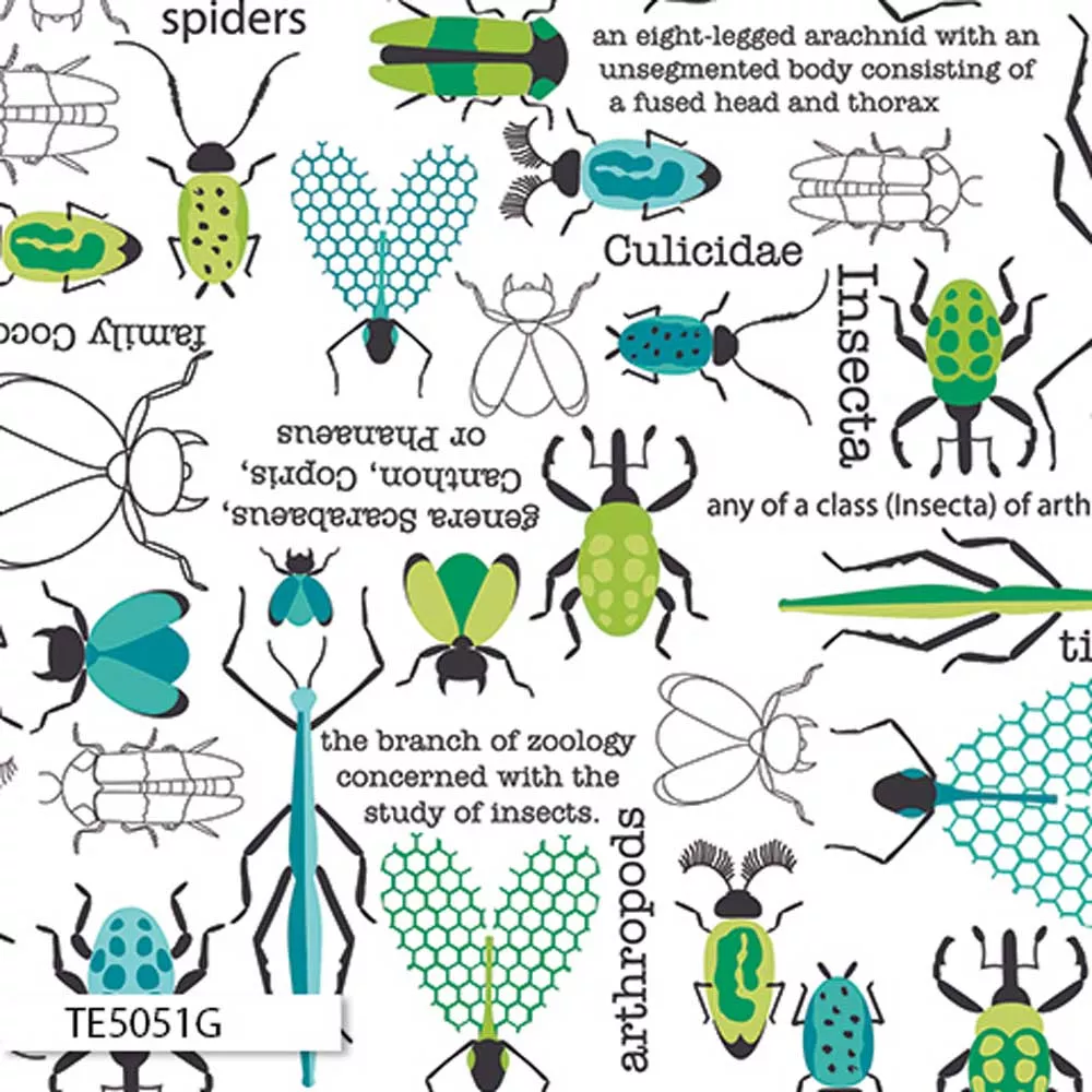 Bug City – TE5051G