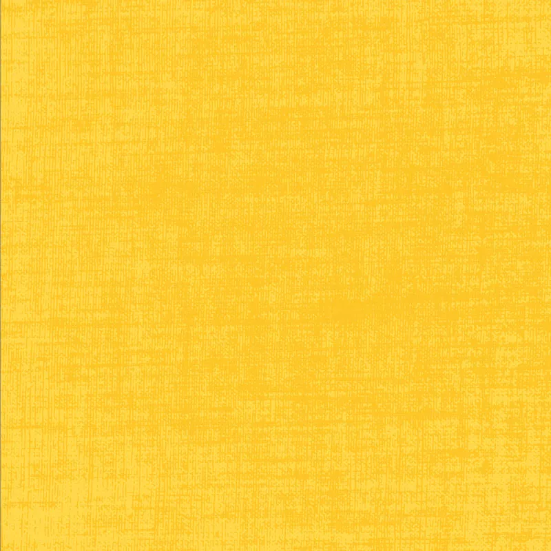 Building Block Basics Texture – DV2222