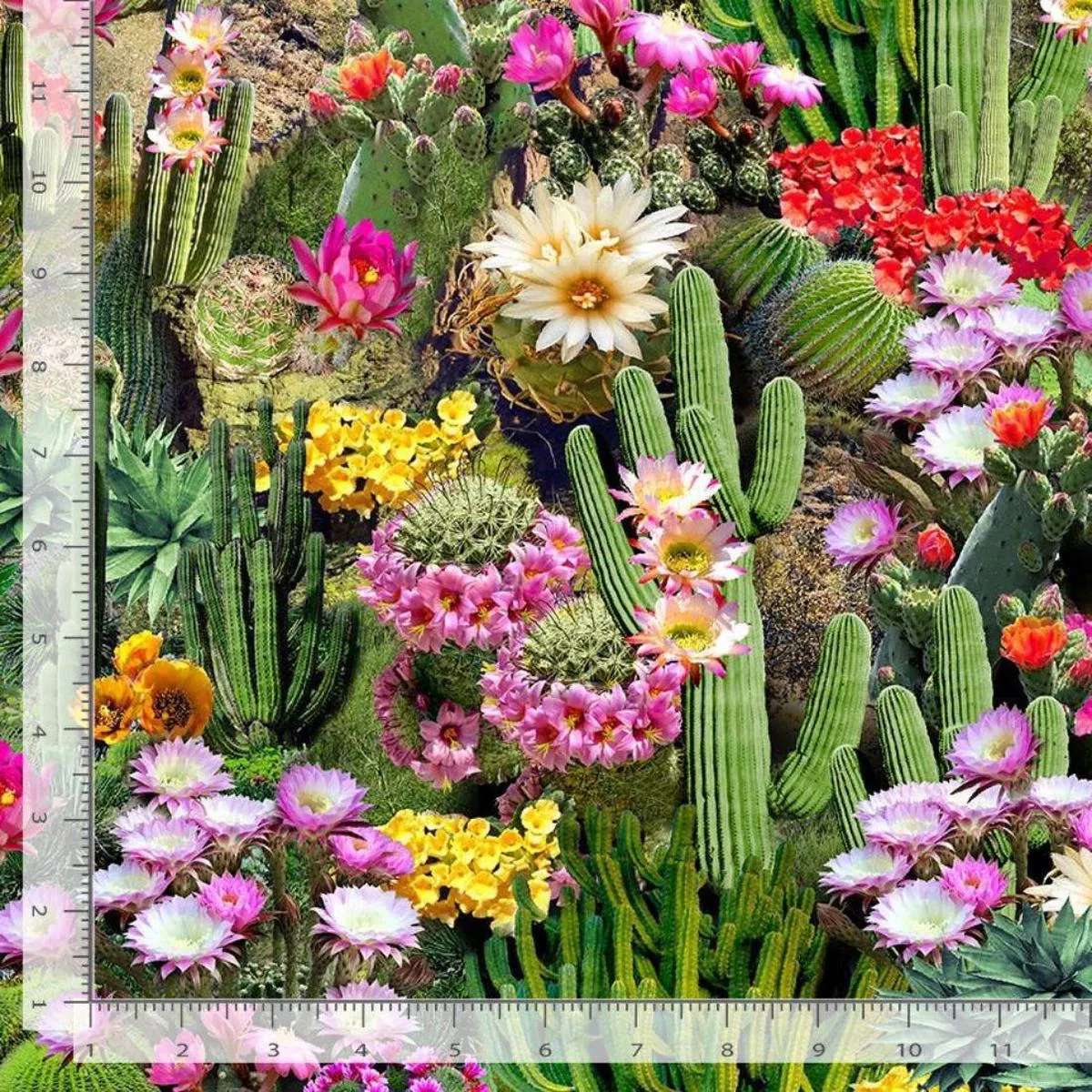 cactus-flowers-bloom-by-tt-studio Cactus Flowers Bloom by TT Studio