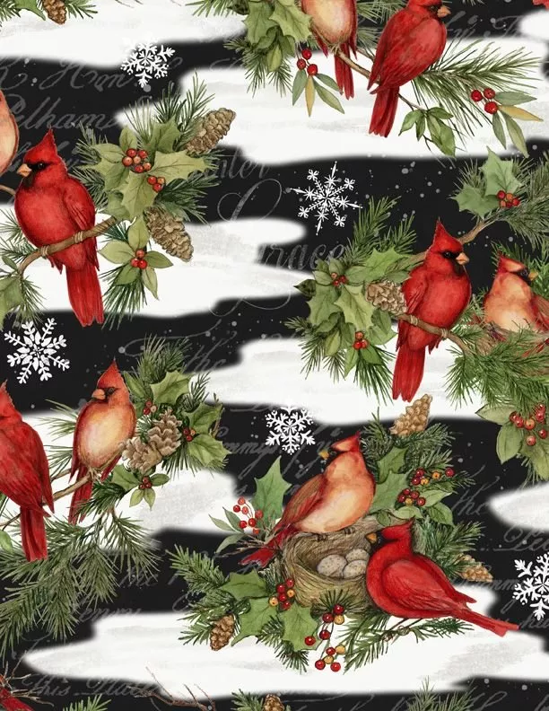 Cardinal Noel3023-39638-917Black
