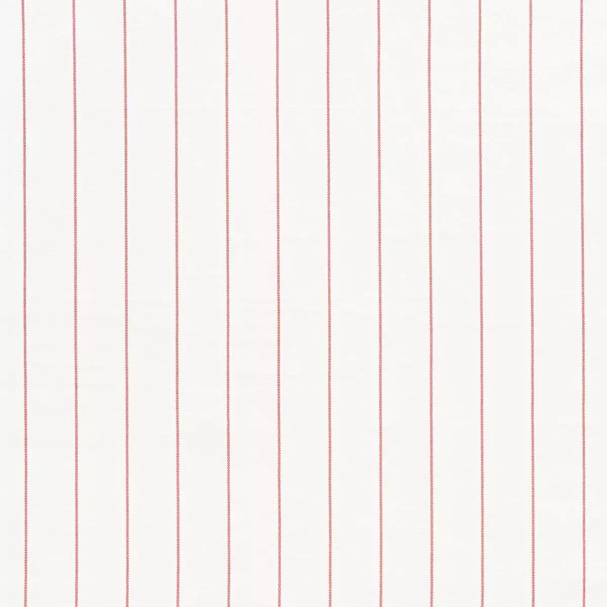 CAVETT STRIPE ROSE