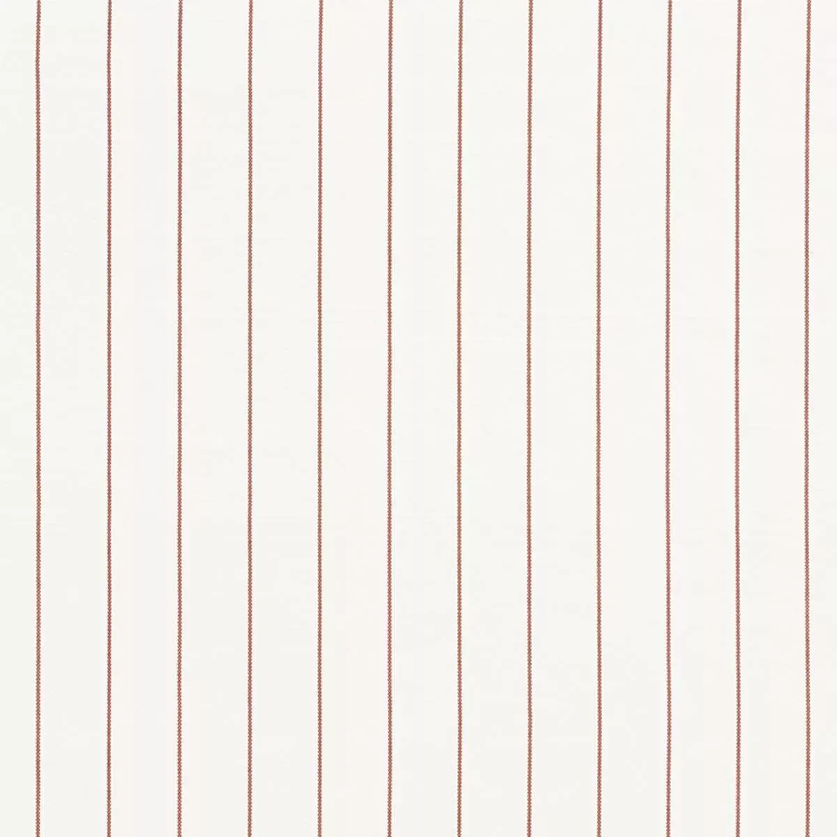 CAVETT STRIPE SIENNA