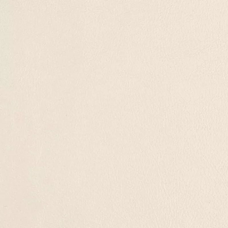 Charlotte Cotton Fabric V756