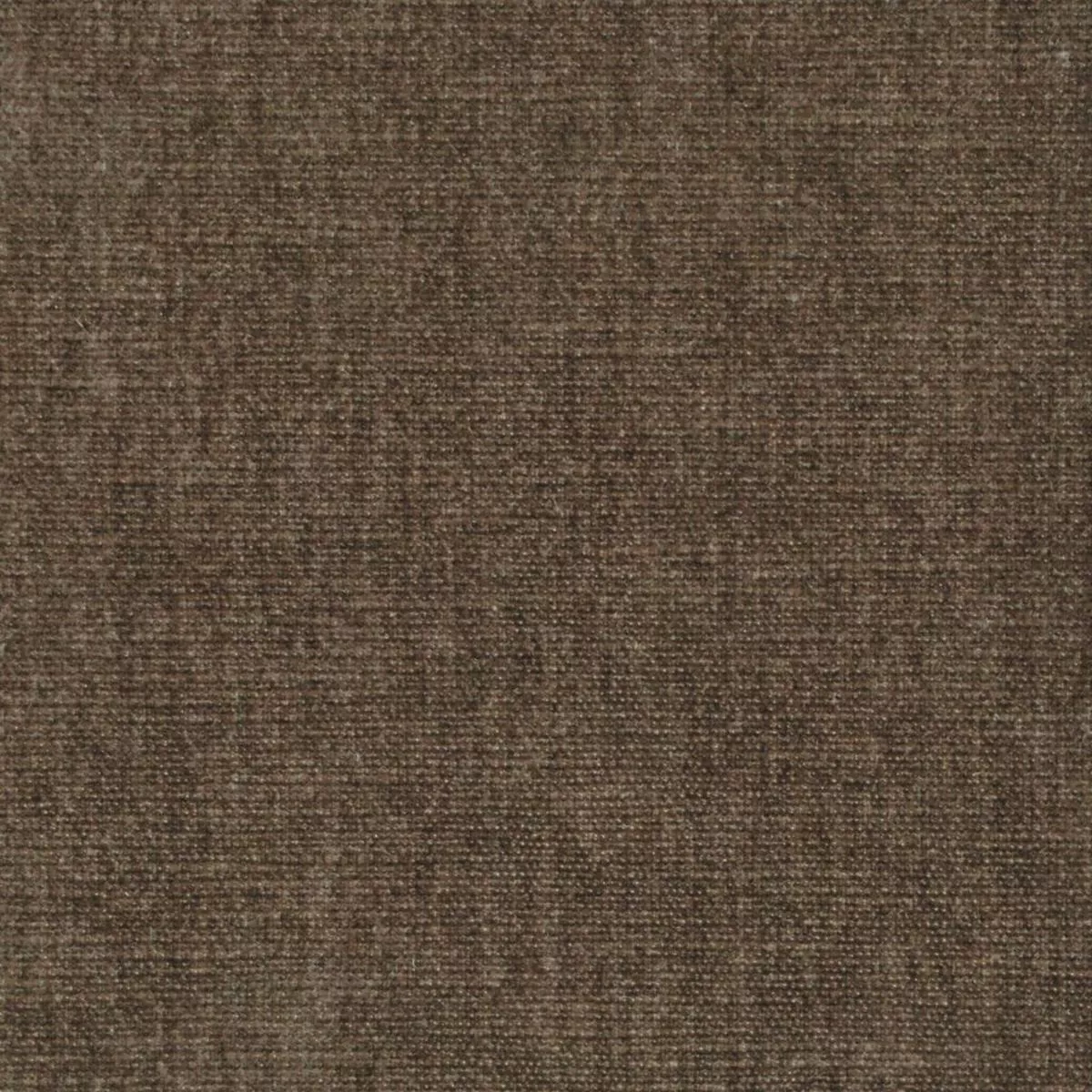 Command Performance Chenille -Truffle RM Coco Fabric