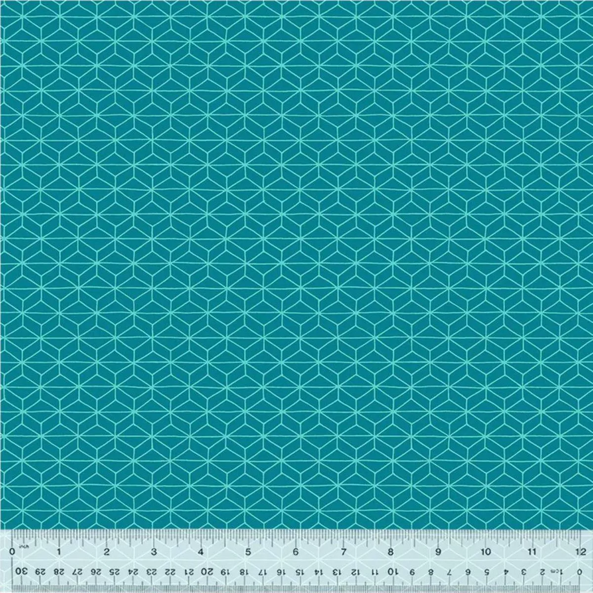 Conundrum Turquoise by Shayla Wolf