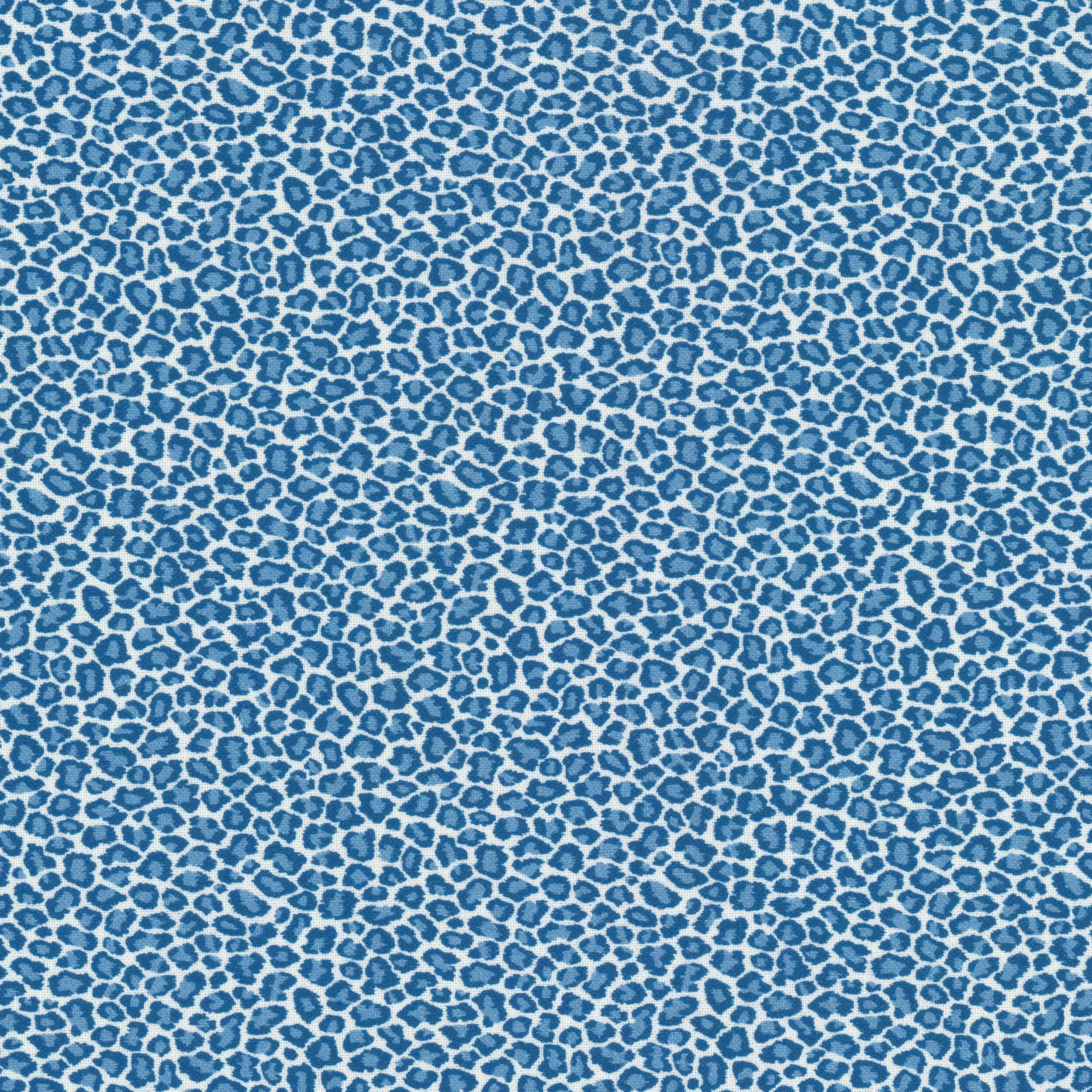 copycat-1-bluebird COPYCAT 1 BLUEBIRD
