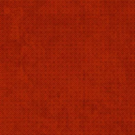 Criss Cross Texture Red