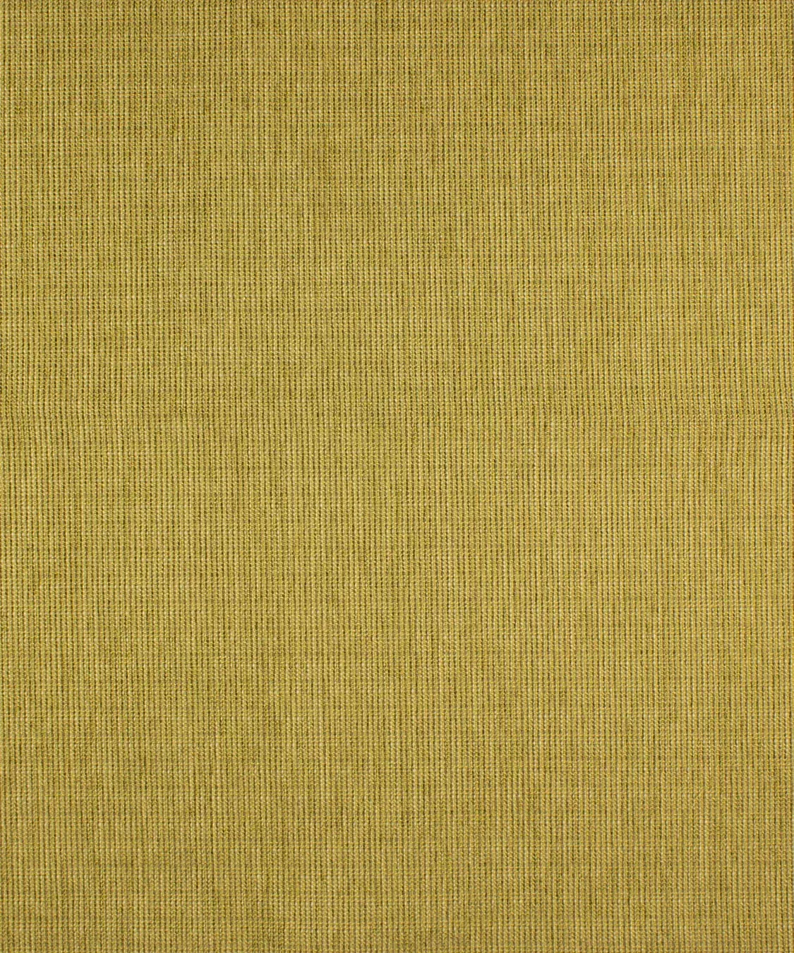croatan-alfalfa CROATAN ALFALFA