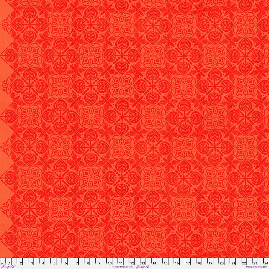 Curious - Tangerine || Grace