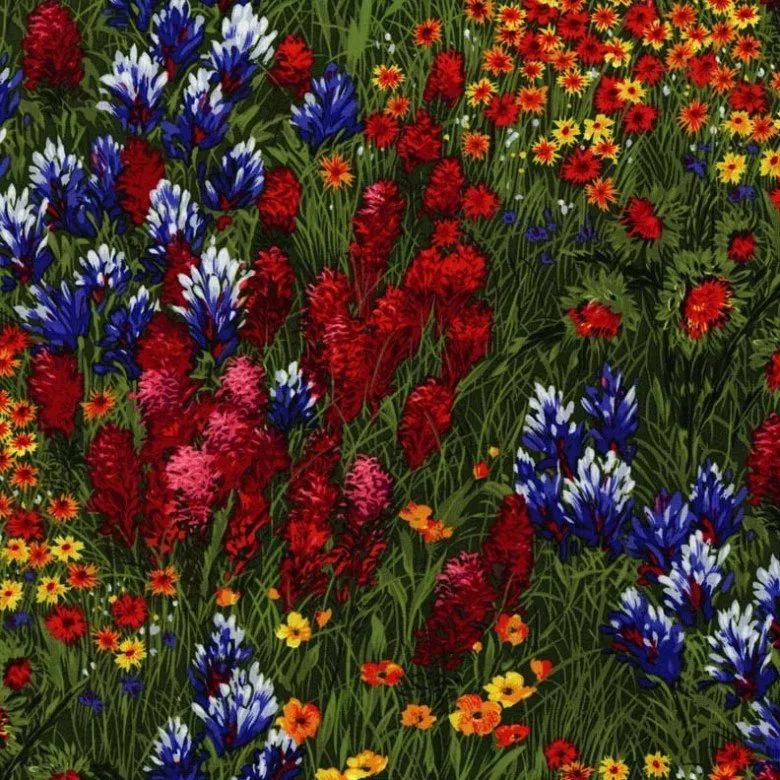 CX0400-MULT-D Wildflowers