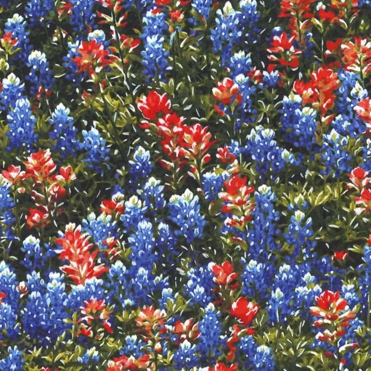 CX4490-MULT-D Texas Flowers