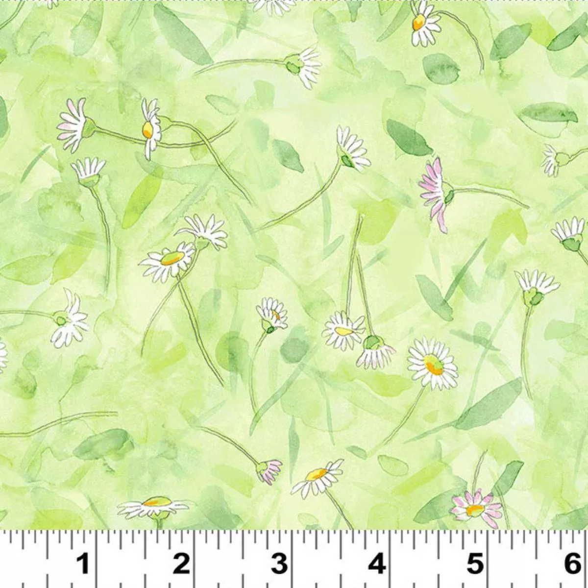 Daisy Field Green by Anita Jeram