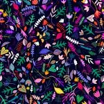 Dashwood_Paradise Heights- Seasons