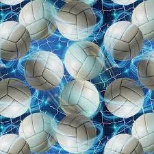 David Textiles, Inc. Volleyball Sparkle