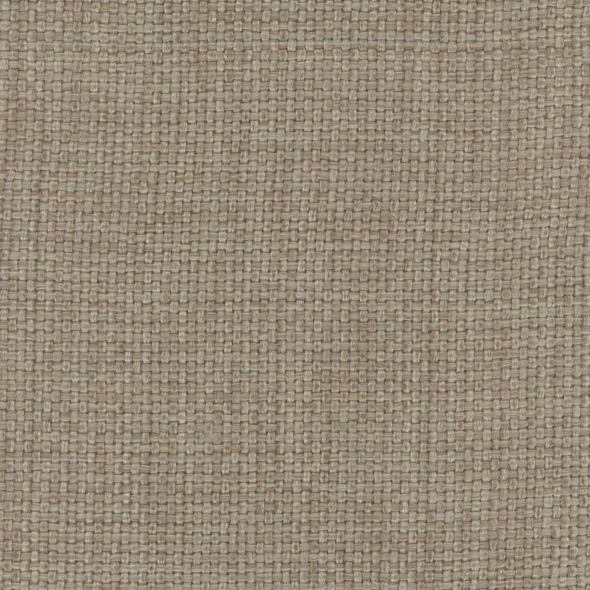 director-s-cut-doeskin Director's Cut Doeskin