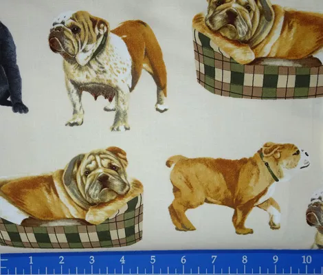 Dogs – 6551-Cream