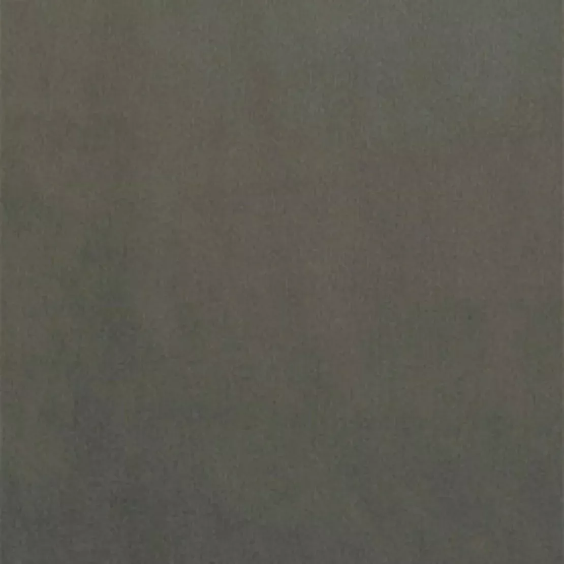 Dolphin 10 Velvet