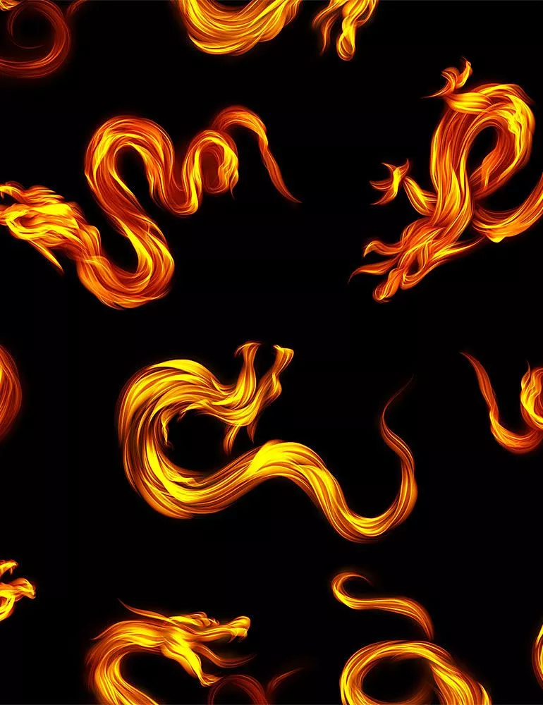 Dragon Fire