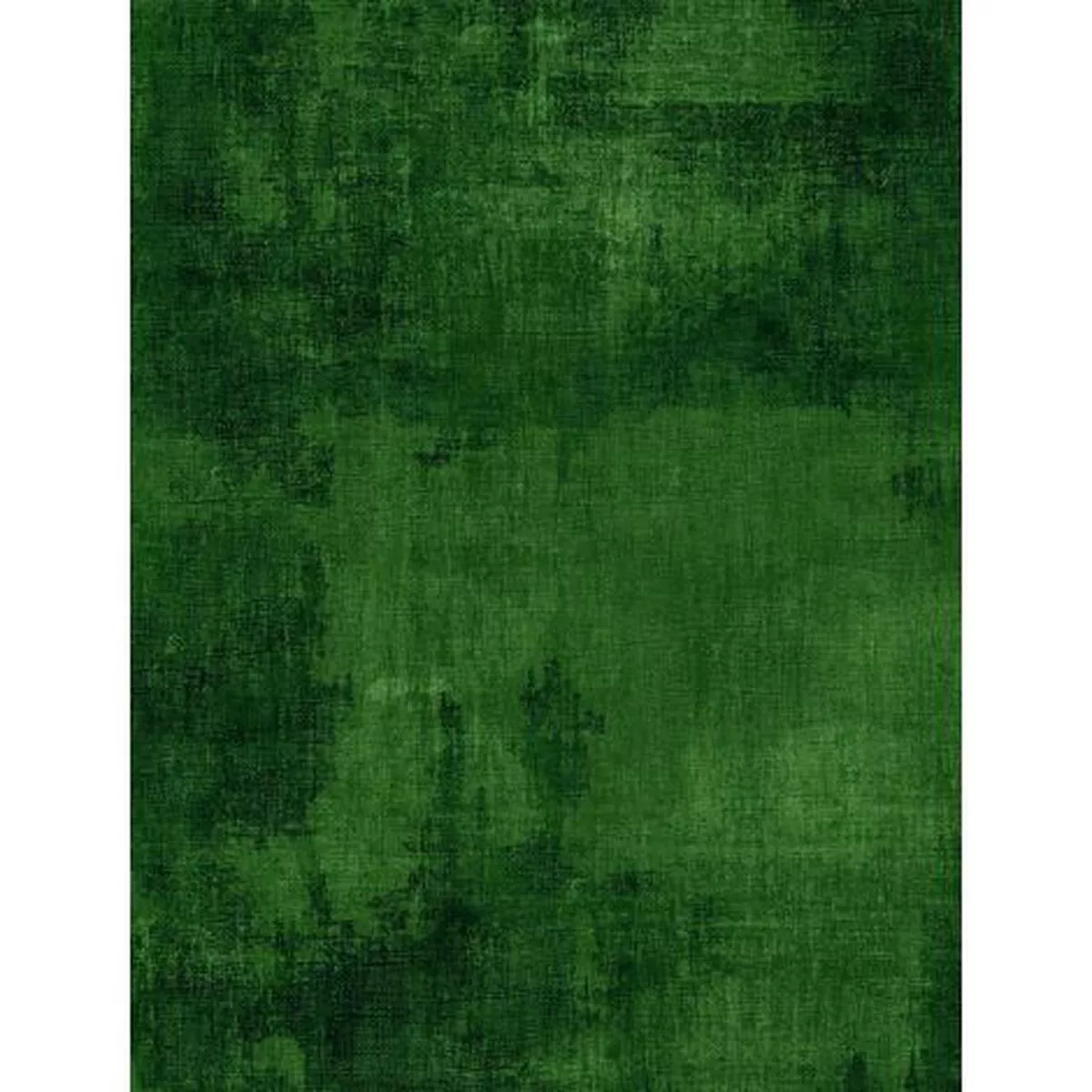 Dry Brush-Forest