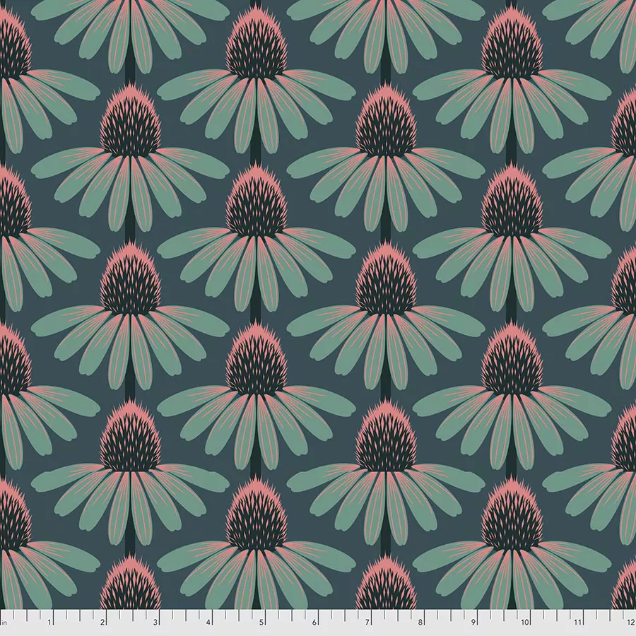 Echinacea - Dim