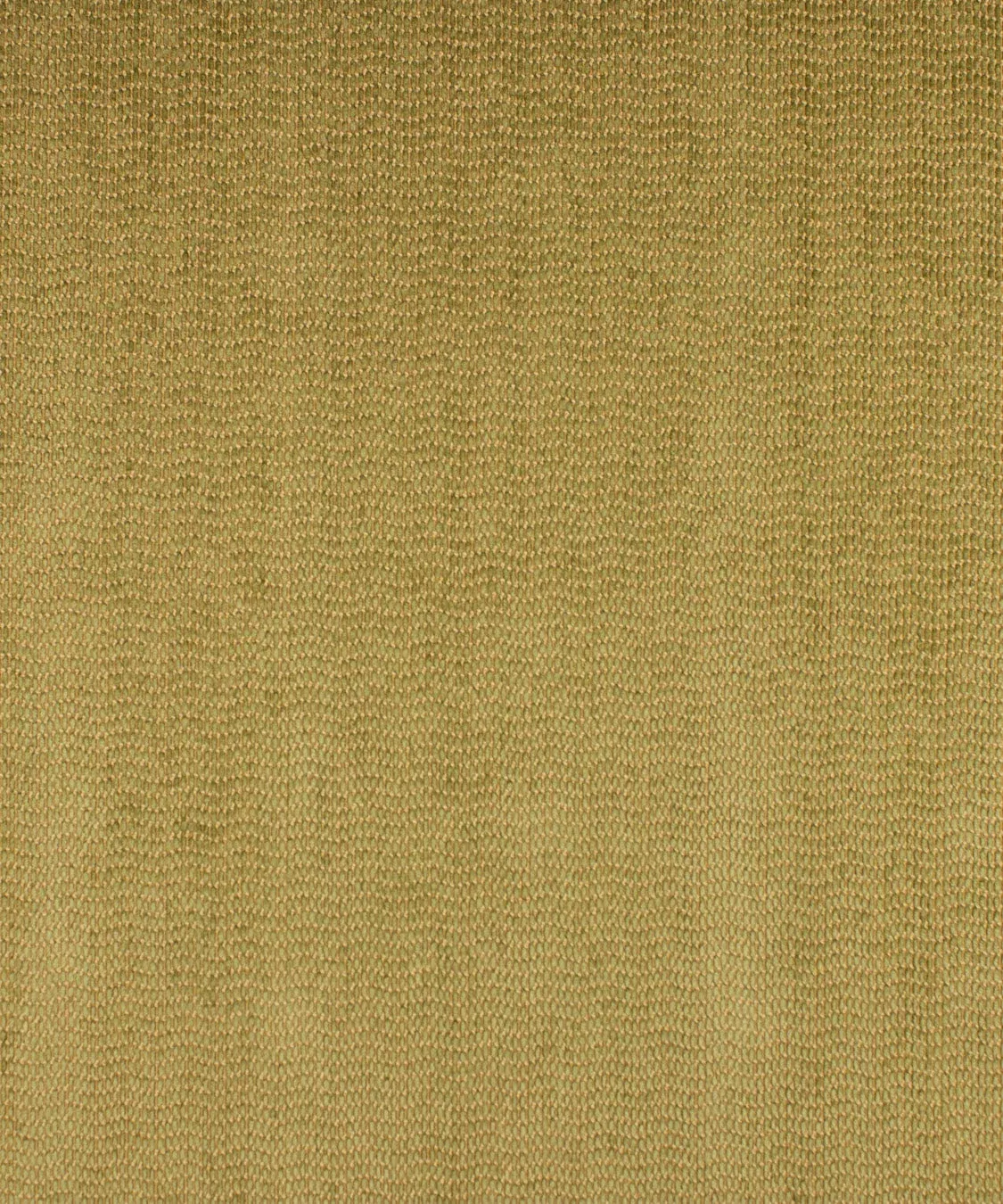 edgecomb-alfalfa EDGECOMB ALFALFA