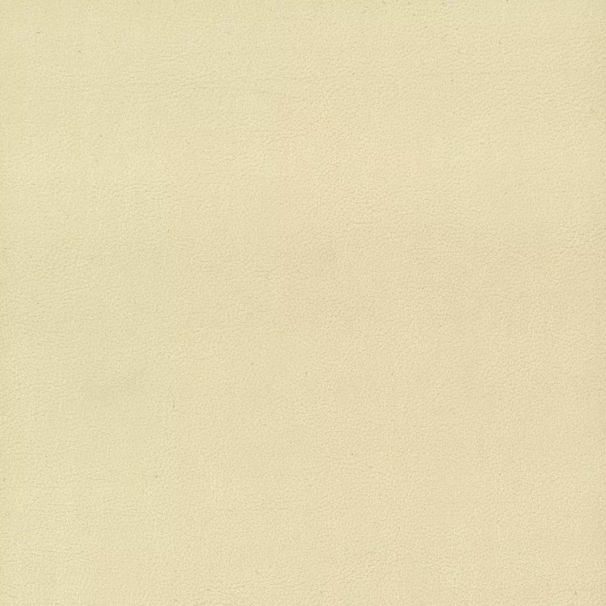 elbert-1-parchment ELBERT 1 PARCHMENT